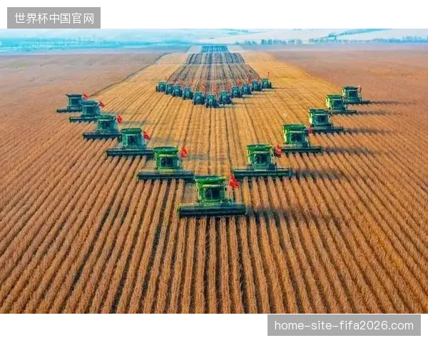 北美核心场馆应急医疗物资调配链条因关税协议滞后出现脱节